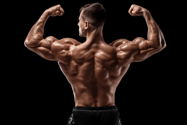 muscular-man-showing-back-muscles-600nw-1822989113